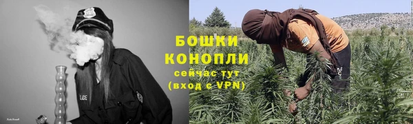 индика Яранск