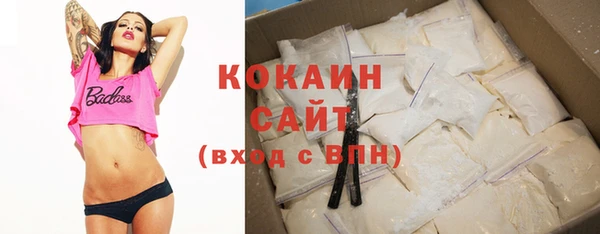 индика Яранск