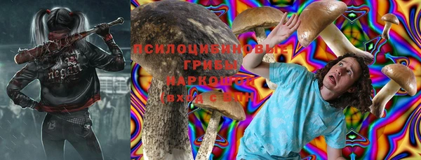 apvp Заводоуковск