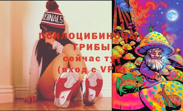 бошки Янаул